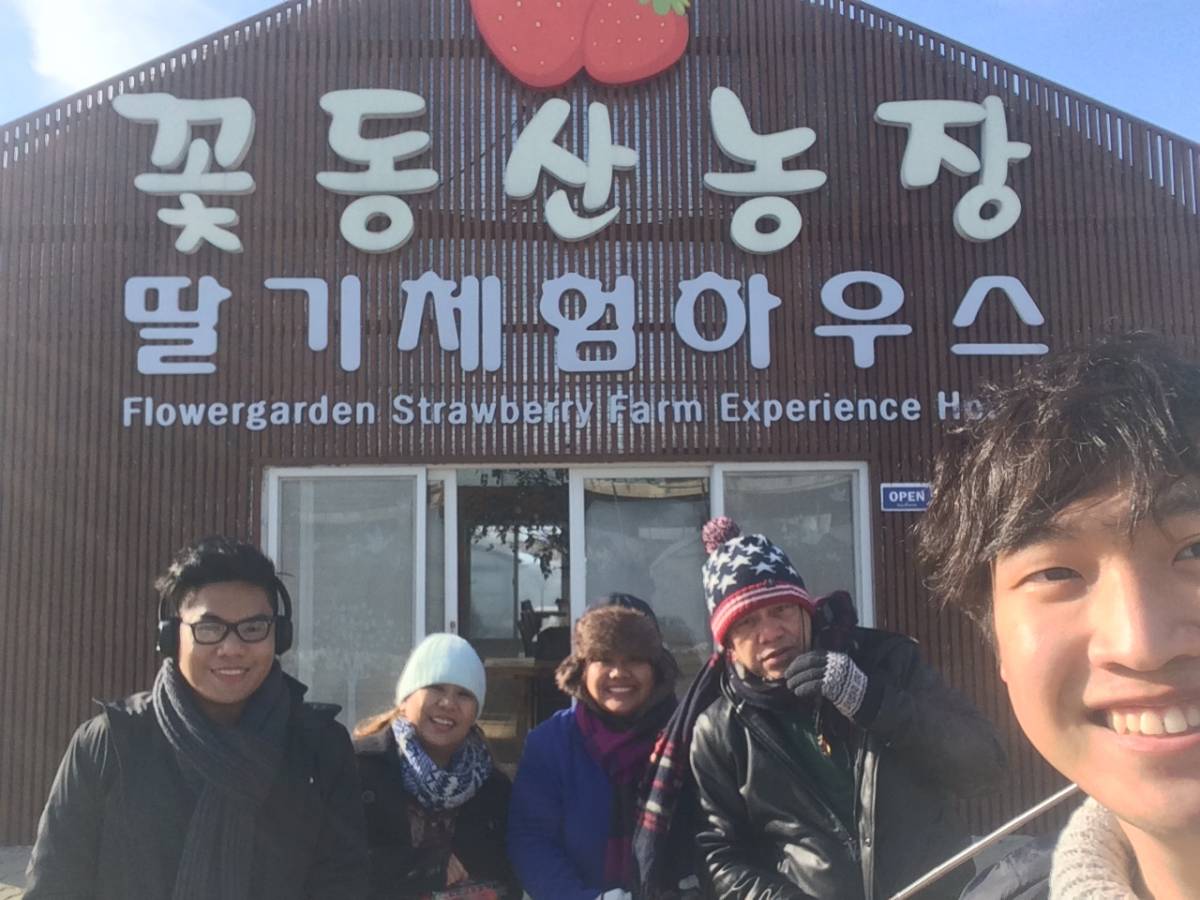 Nami Island, Petite France, Strawberry Farm Korea Tour Package Trazy